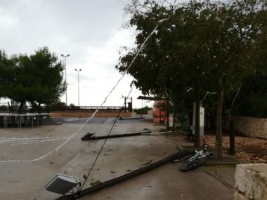 SANTANYI DESPRÉS TEMPESTA
