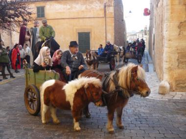 Èxit de participació als foguerons i carrosses del  municipi de Santanyí per festejar Sant Antoni