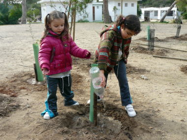 Quasi un centenar d’alumnes del col•legi públic de Calonge han participat en una jornada de reforestació al Parc Natural de Mondragó