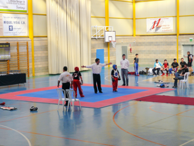 Santanyí celebrà un Campionat de Balears de Kick Boxing a benefici de la Plataforma Camina con Miguel