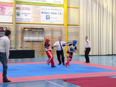 Santanyí celebrà un Campionat de Balears de Kick Boxing a benefici de la Plataforma Camina con Miguel