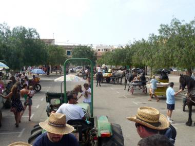 MULTITUDINÀRIA PASSEJADA A LA PLATJA DE S’AMARADOR