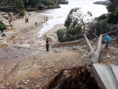 S’ESTIMEN JA 150.000 EUROS PELS DANYS CAUSATS PER LA TORMENTA