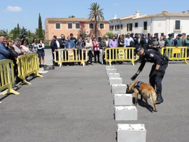 LA POLICIA LOCAL DE SANTANYÍ JA TÉ DIADA  PRÒPIA