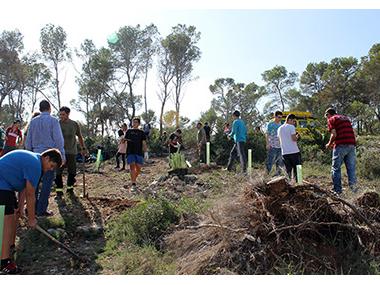 ELS ALUMNES DE CALA D’OR I SANTANYÍ AJUDEN A  REFORESTAR ZONES VERDES DEL TERME 