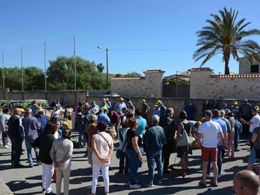 UN ANY MÉS ARRIBA L'HORA DE TONDRE LES OVELLES A ES LLOMBARDS