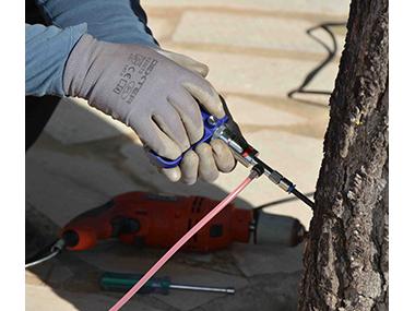 Santanyí combat la processionària del pi amb un sistema d’endoteràpia