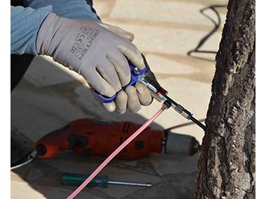 Santanyí combat la processionària del pi amb un sistema d’endoteràpia