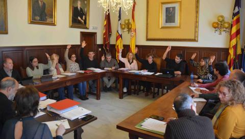 PLE DESEMBRE SANTANYÍ