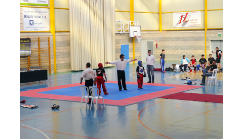 Santanyí celebrà un Campionat de Balears de Kick Boxing a benefici de la Plataforma Camina con Miguel