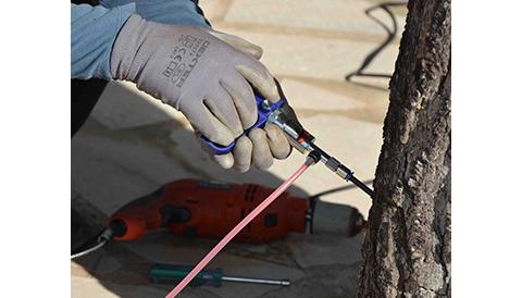Santanyí combat la processionària del pi amb un sistema d’endoteràpia