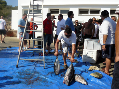 Un total de 19 embarcacions de Mallorca participaren a la I Trobada de Pesca d’Altura Marina de Cala d’Or