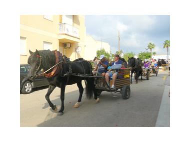 La XIV edició de l’anada amb carro, muntura, bicicleta o a peu a Mondragó se celebra amb la participació d’un total de 300 persones